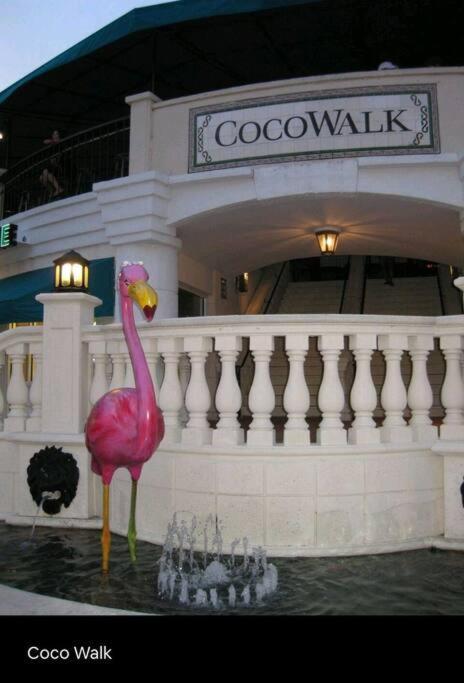 Sol Miami # 2 With Free Parking Apartment ภายนอก รูปภาพ